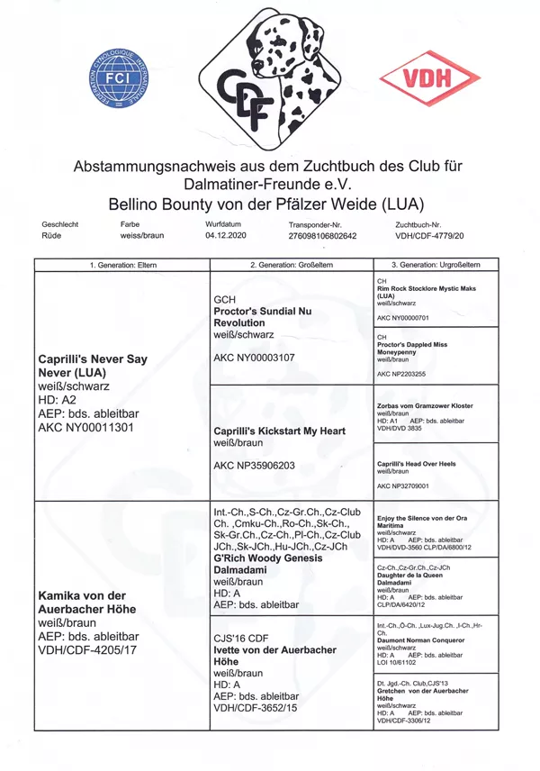 Bild zeigt den Abstammungsnachweis des Therapiehundes Bounty. Darunter gibt es einen Link, um die Urkunde herunterladen zu können.