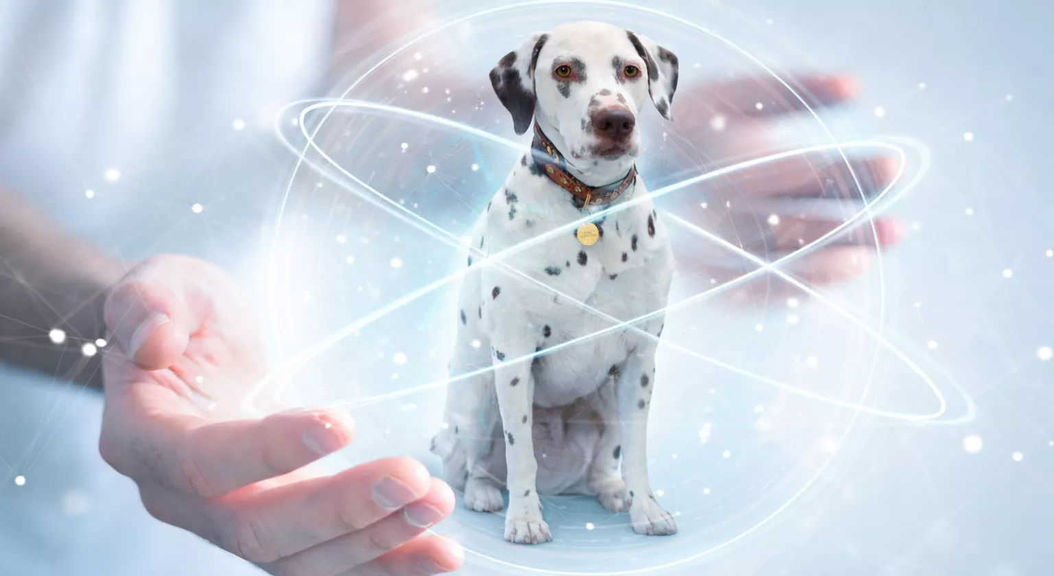 bounty-header